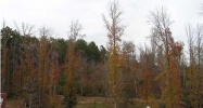 171 Kaziar Cir Hayden, AL 35079 - Image 4032296