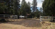 1052 Pine Ridge Dr Show Low, AZ 85901 - Image 4037867