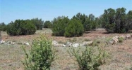 2155 Supancheck Show Low, AZ 85901 - Image 4037873