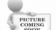 1484 Henri St. Newport, MI 48166 - Image 4056042