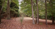 9650 Nesbit Lakes Drive Alpharetta, GA 30022 - Image 4056693