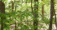 13/1 Saldana25 Saldana Way Hot Springs Village, AR 71909 - Image 4074675