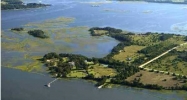 40 JOSIE RIDGE RD Wadmalaw Island, SC 29487 - Image 4104900