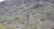 5344 E Prickley Pear Road Cave Creek, AZ 85331 - Image 4107908