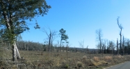 County Road 3201 Clarksville, AR 72830 - Image 4114384
