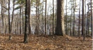 14/4 Domicillio21 Raton Lane Hot Springs Village, AR 71909 - Image 4114817