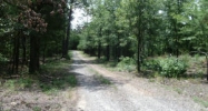 Pt lot 11-12 McGuire Rd Lamar, AR 72846 - Image 4143921