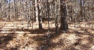 7/6 Pyrenees17 Pyrenees Lane Hot Springs Village, AR 71909 - Image 4148723