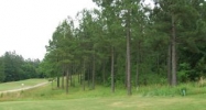 9/3 Ladera18 Altiplano Cr Hot Springs Village, AR 71909 - Image 4196954
