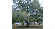 122 Sherwood Court Ozark, AL 36360 - Image 4215507