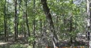 10/1 Caribe Laredo Lane Hot Springs Village, AR 71909 - Image 4222181