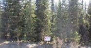 L6 B8 Stassi Lane Sterling, AK 99672 - Image 4238855