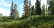 L1 Opengate Court Sterling, AK 99672 - Image 4238856