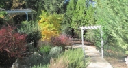 21265 Phoenix Lake Dr. Sonora, CA 95370 - Image 4240837