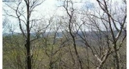 42 Cochise Dr Eureka Springs, AR 72631 - Image 4261598