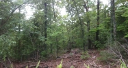 0000 Cr 485 Mountain Home, AR 72653 - Image 4262244