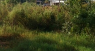 0 Isle Of Pines Dr Foley, AL 36535 - Image 4265227