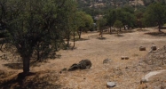21400 Prospect Ave Tehachapi, CA 93561 - Image 4277955