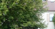 66 North Aberdeen Drive Mendham, NJ 07945 - Image 4306498