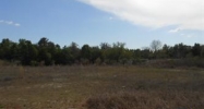 4320 Mecca Hammock Road (Apn# 13-20 Sanford, FL 32773 - Image 4311431