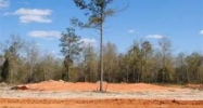 Lot 7 County Road 539 Enterprise, AL 36330 - Image 4316549