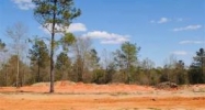 Lot 11 County Road 539 Enterprise, AL 36330 - Image 4316551