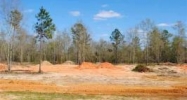 Lot 2 County Road 539 Enterprise, AL 36330 - Image 4316553
