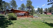 135 Meadow Drive Bailey, CO 80421 - Image 4317652