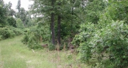 Lot #5 Big Oak Estates Cherokee Village, AR 72529 - Image 4317816