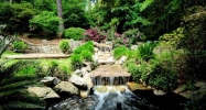 1075 Peachtree Battle Nw Atlanta, GA 30327 - Image 4318257