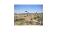 143rd St E Lancaster, CA 93535 - Image 4321467