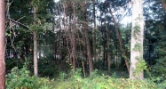Lot 18 &amp; 19 High Bluff Enterprise, AL 36330 - Image 4325869