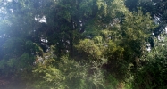 225 Tiffany Drive Dothan, AL 36301 - Image 4346543