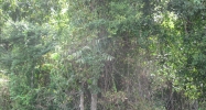 0 Ennis Road Dothan, AL 36303 - Image 4346641