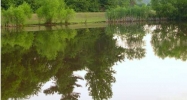 2607 MG Sivley Way Hartselle, AL 35640 - Image 4357301