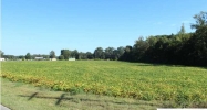 Hwy. 36 Hartselle, AL 35640 - Image 4374371