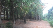 0 Grand Avenue Fairhope, AL 36532 - Image 4374356