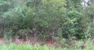 0 County Road 1 Fairhope, AL 36532 - Image 4375862