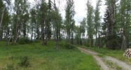 L42 Authentic Road Soldotna, AK 99669 - Image 4378248