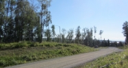 L 12 Authentic Road Soldotna, AK 99669 - Image 4378245