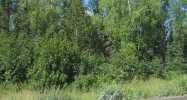 395 Boundary Street Soldotna, AK 99669 - Image 4378243