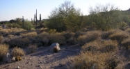 4334 N Morning Dove Circle Mesa, AZ 85207 - Image 4378836
