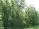 22 Split Bark Drive Cecil, AL 36013 - Image 4428883