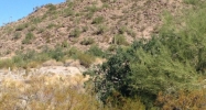 4332 N Sonoran Heights Circle Mesa, AZ 85207 - Image 4472135