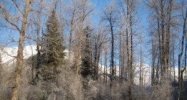 L4 B1 Girdwood Place Girdwood, AK 99587 - Image 4485605