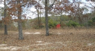 14 N HIGHWAY 123 Ozark, AL 36360 - Image 4514570