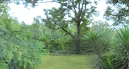 1930 County Road 5 Rocy Head Community Ozark, AL 36360 - Image 4514766