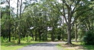 6373 FARM HOUSE RD Ravenel, SC 29470 - Image 4524626