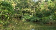 861 Creek Drive Fairhope, AL 36532 - Image 4550958