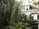 7407 Church Street Pittsburgh, PA 15218 - Image 4557020